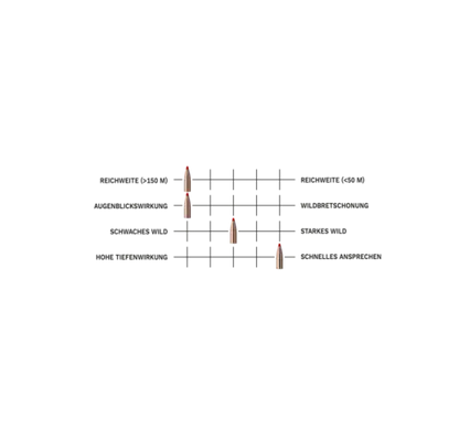 .30-06 Spr. Express 10,7g/165grs. Geco