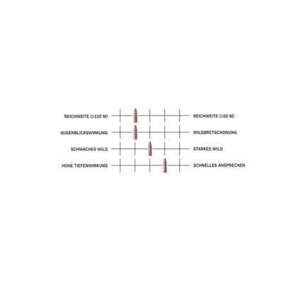 .30-06 Spr. ZERO 8,8g/136grs. Geco